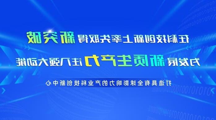 在科技创新上率先取得新突破 为发展新质生产力注入强大动能